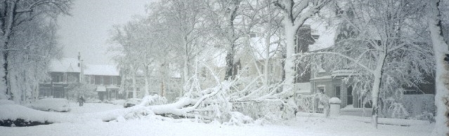 23079810841_dffddd2c60_o