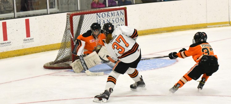 30058662144_31801130ac_o